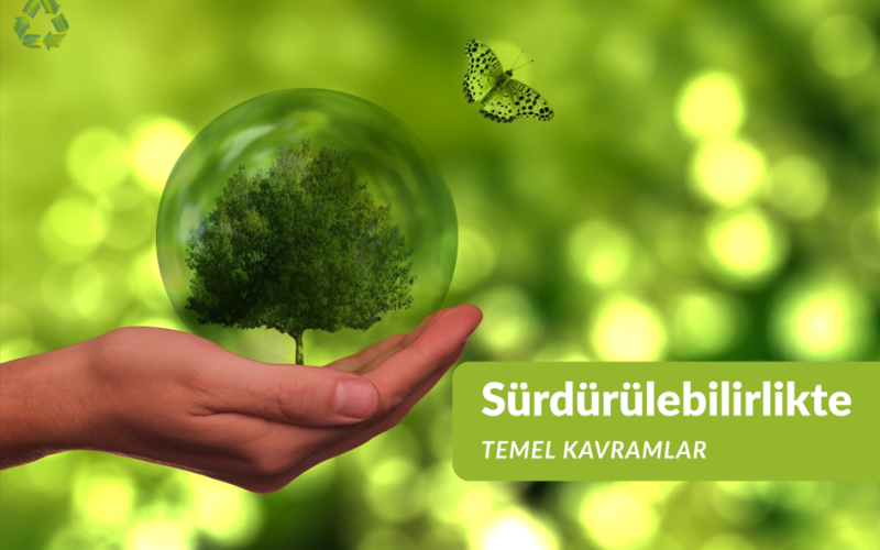 Sürdürülebilirlikte Temel Kavramlar Webinarı